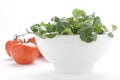 Fresh natural salad bowl tomato lettuce onion Royalty Free Stock Photo