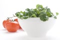 Fresh natural salad bowl tomato lettuce onion