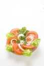 Fresh natural salad bowl tomato lettuce onion Royalty Free Stock Photo