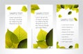 Fresh natural vertical banners with leafs