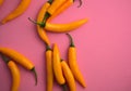 Fresh natural vivid yellow chillis flat lay on pink background. Beautiful cuisines, spicy ingredient, food styling concept. Royalty Free Stock Photo