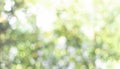 Fresh nature green bokeh lights abstract background from nature forest out of focus. Blur park with bokeh light, nature, garden, Royalty Free Stock Photo