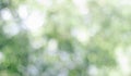 Fresh nature green bokeh lights abstract background from nature forest out of focus. Blur park with bokeh light, nature, garden Royalty Free Stock Photo