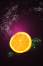 Fresh Navel Orange on Purple Background Royalty Free Stock Photo