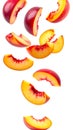 Fresh Nectarine Slices Falling on Transparent Background Royalty Free Stock Photo