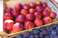 Fresh nectarines at the market Royalty Free Stock Photo