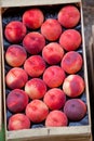 Fresh nectarines selling in a market Royalty Free Stock Photo