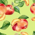 Fresh nectarines whole and half watercolor seamless pattern isolated on green background. Ripe fruits peach and leaves Royalty Free Stock Photo