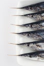 Fresh needlefish for a healthy diet