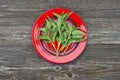 Fresh nettle herb for healthy ecological food in red plate