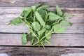 Fresh nettle leaves