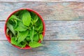 Fresh nettle leaves in a red bowl on a wooden background with space for text