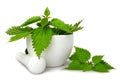 Fresh nettle in a mortar Royalty Free Stock Photo