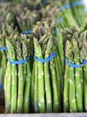 Fresh New Jersey Asparagus