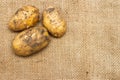 Fresh new potatoes with the peel on the brown bag Royalty Free Stock Photo