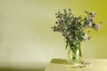 Fresh New York asters in the glass vase onthe table against wall.Yellow abstract light Royalty Free Stock Photo