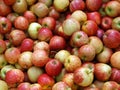 Fresh New Zealand Apples