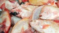 Fresh nile tilapia,fresh sea food Royalty Free Stock Photo