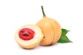 Fresh nutmeg fruit and cut in half Royalty Free Stock Photo