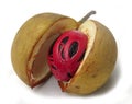 Nutmeg and its mace