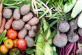 Fresh nutrient organic vegetables background. Sustainable farming agriculture  market Royalty Free Stock Photo