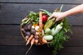 Fresh nutrient organic vegetables background. Sustainable farming agriculture  market Royalty Free Stock Photo