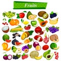Fresh and nutritious fruit set including apple, orange, grapes, coconut, berry Royalty Free Stock Photo