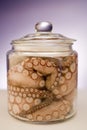 Fresh octopus Royalty Free Stock Photo