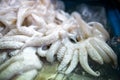 Fresh octopus and cuttlefish in market Royalty Free Stock Photo
