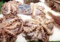 Fresh octopus on display at fish market Royalty Free Stock Photo