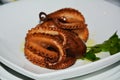 Fresh octopus food on white plate Royalty Free Stock Photo
