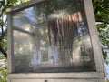 Fresh octopus hanging to drying behind a window of a traditional restaurant on a greek island Royalty Free Stock Photo