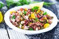 Fresh octopus salad Royalty Free Stock Photo