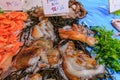 Fresh octopus and shrimp at the fish market in Nice France Royalty Free Stock Photo
