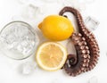 Fresh octopus tentacle with lemon and ice cubes on white background Royalty Free Stock Photo