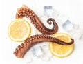 Fresh octopus tentacles with ice and lemon slices on white background Royalty Free Stock Photo