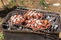 Fresh octopuses on the charcoal grill, Italy. Traditional Mediterranean cuisine