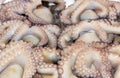 Fresh octopuses on a market stall Royalty Free Stock Photo