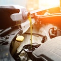 Fresh oil being poured during an oil change to car engine in ray