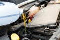 Fresh oil being poured during an oil change to car engine, close Royalty Free Stock Photo