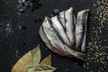 Fresh oiled sardines Royalty Free Stock Photo