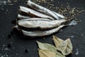 Fresh oiled sardines Royalty Free Stock Photo