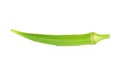 Fresh okra,Green roselle on white background.