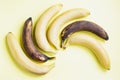 Fresh and old bananas are patterned on a yellow background top view. Royalty Free Stock Photo