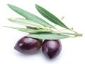 Fresh olives with leaves. Royalty Free Stock Photo