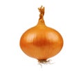 Fresh onion Royalty Free Stock Photo