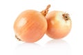 Fresh onion Royalty Free Stock Photo