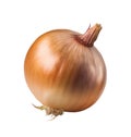 Fresh onion bulb isolated on white background