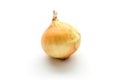 Fresh onion bulbs isolated on white background Royalty Free Stock Photo