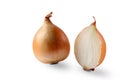 Fresh onion bulbs isolated on white background Royalty Free Stock Photo